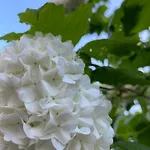 Seemoewe 度假居