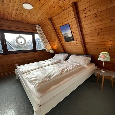 Seemoewe Holiday home Damp