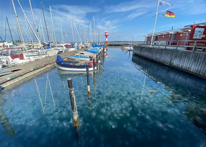 Seemoewe Vakantiehuis