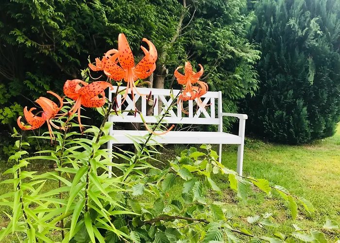 Seemoewe Vakantiehuis *